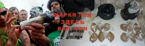 первитин Новодвинск