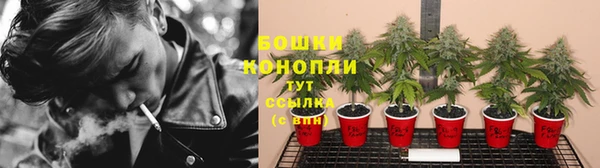 MESCALINE Новокубанск