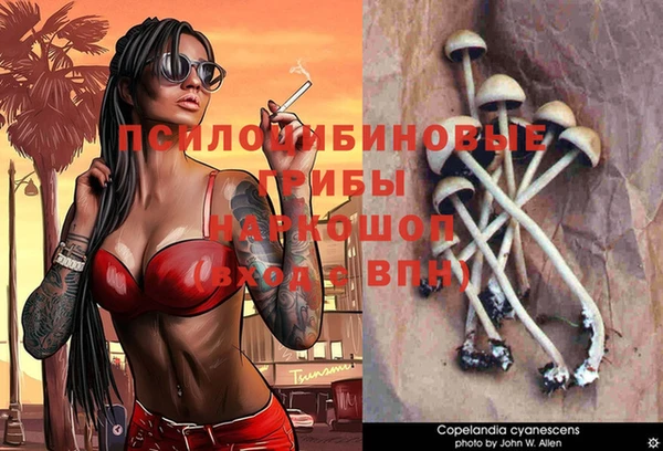 первитин Болотное