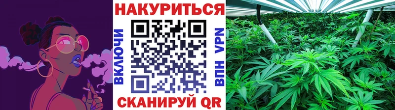 Бошки Шишки OG Kush  omg как зайти  Макушино  цена  